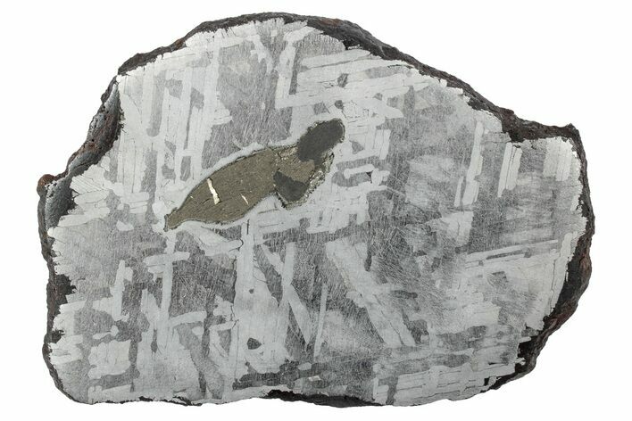 Etched Toluca Iron Meteorite ( g) Slice - Mexico #346507